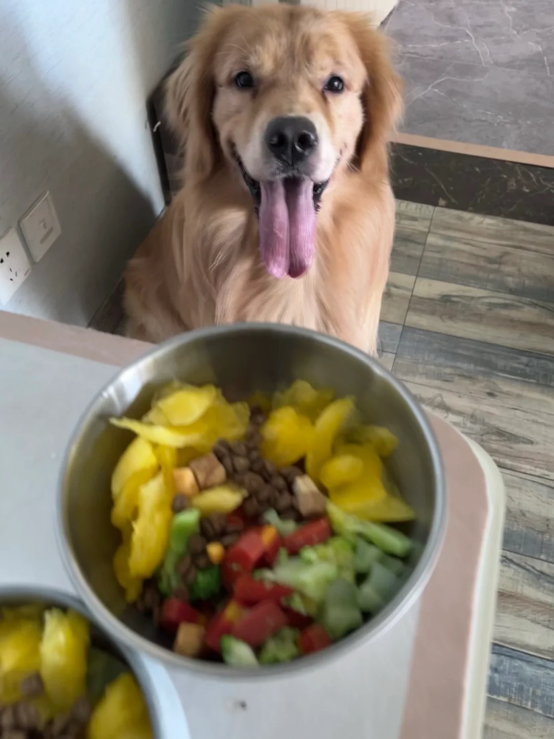 沉浸式给狗子们做狗饭