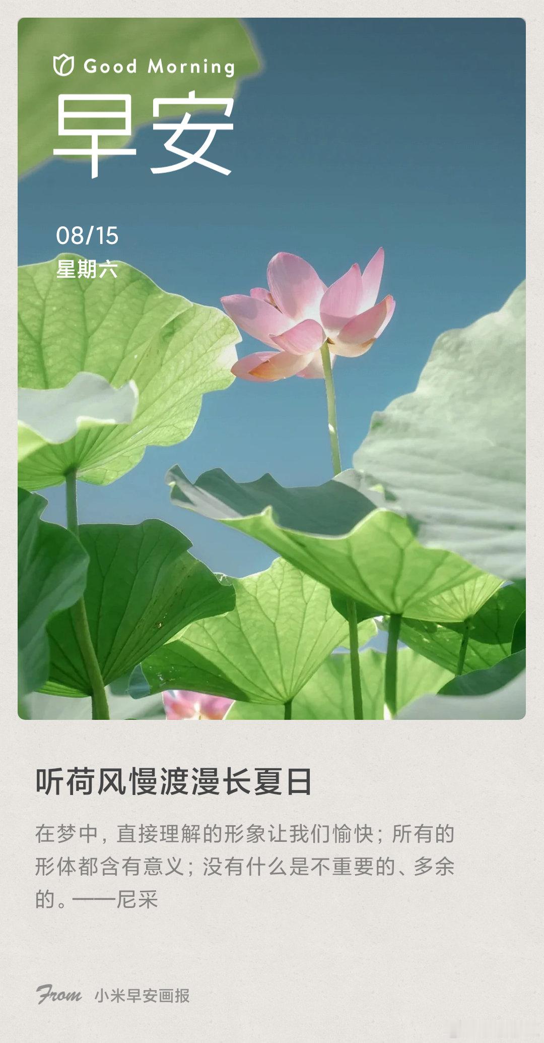 小米画报 听荷风慢渡漫长夏日： 在梦中，直接理解的形象让我们愉快；所有的形体都含