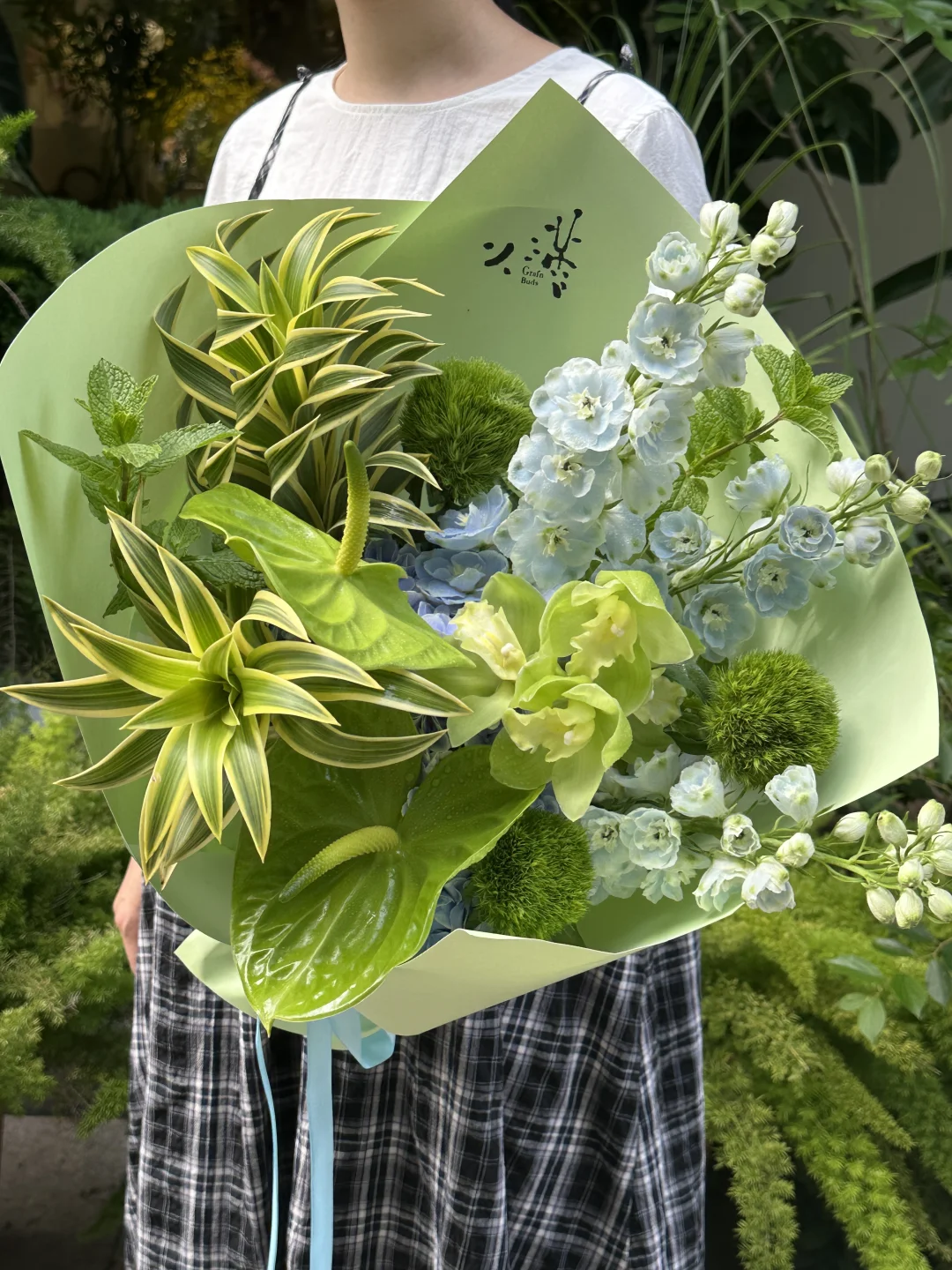 GrainBuds｜绿色森林🌳🍵🫛