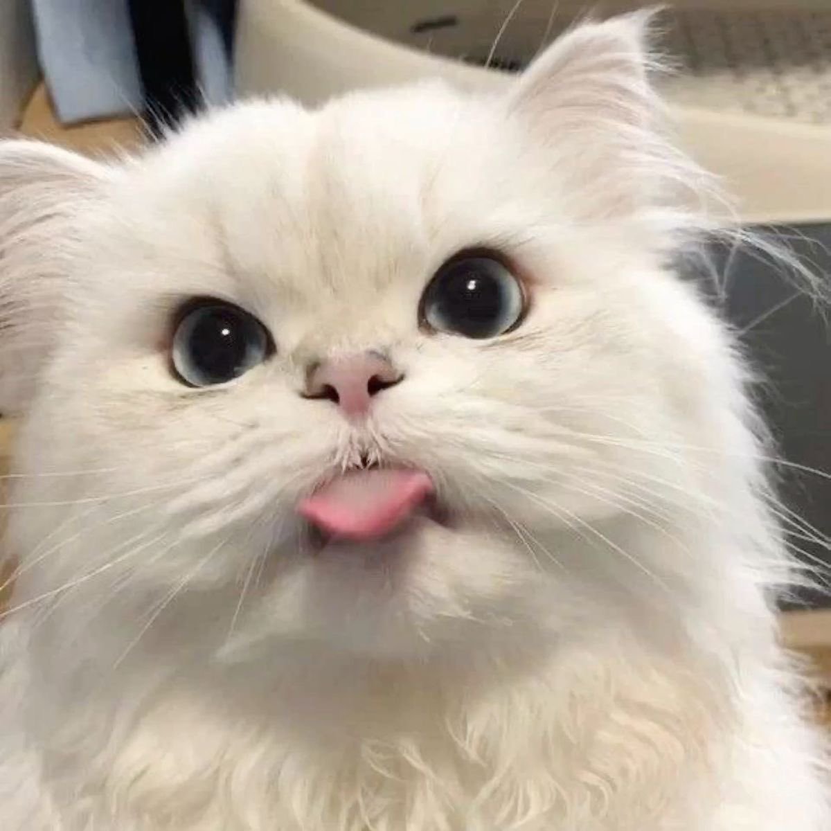 😍 ​​​