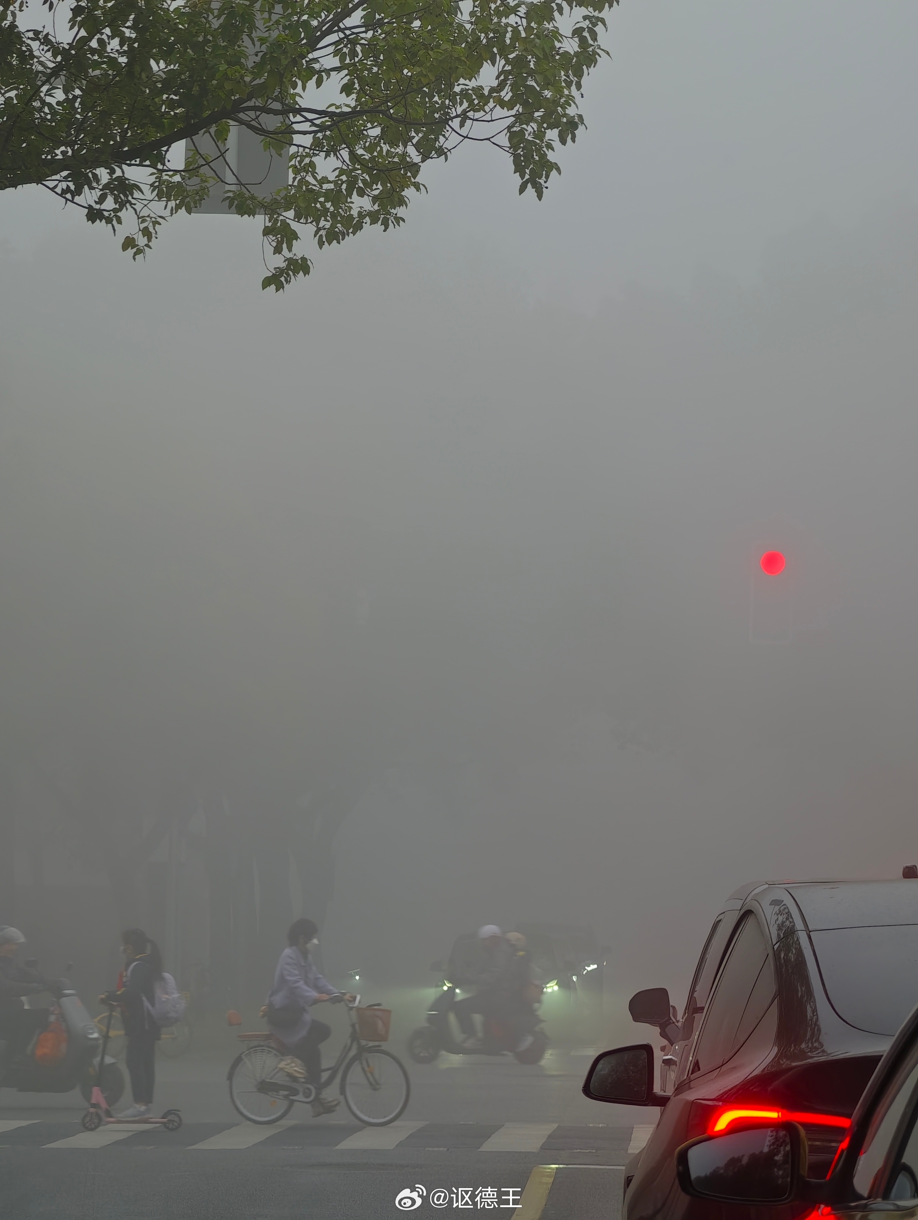 今早魔都变雾都 上海大雾