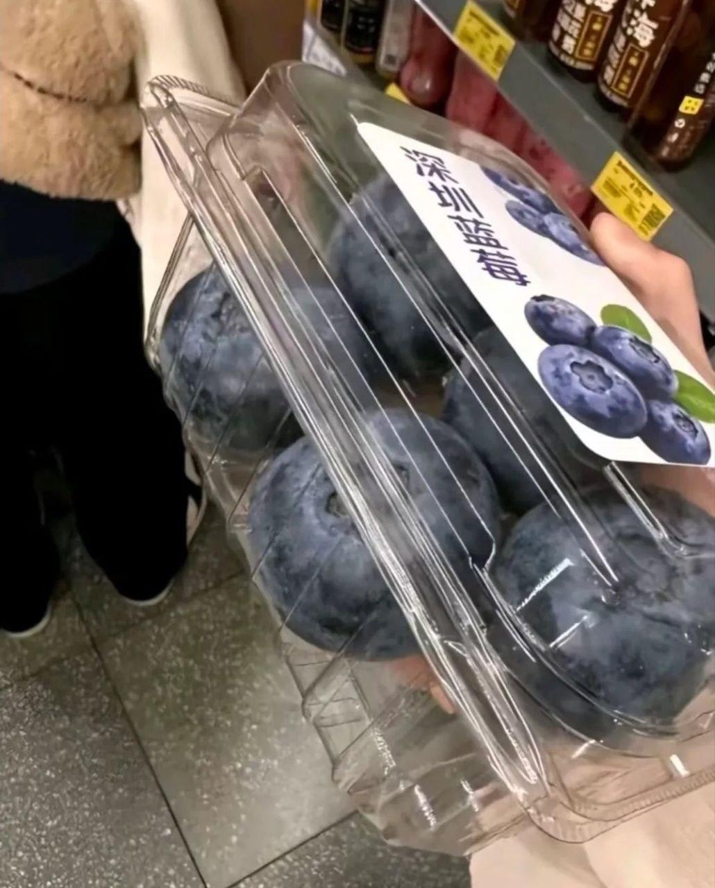 真有这么大的蓝莓吗