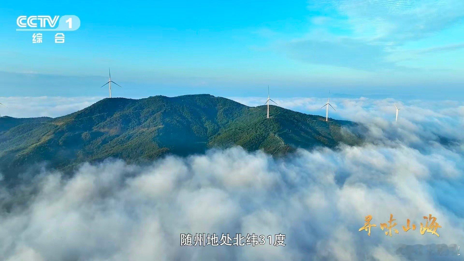 干香菇鲜香菇哪个更好吃一种花菇可以有两种味道 当花菇遇见阳光与风，便有了风味的两