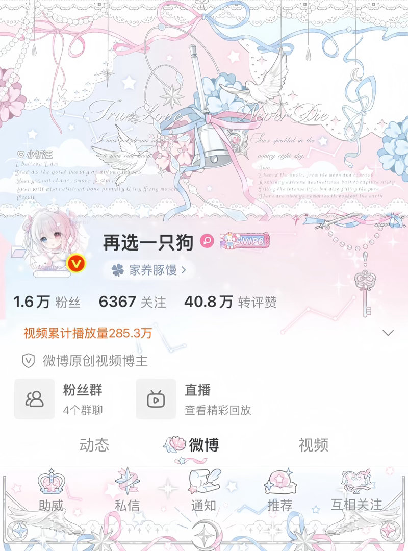 小魔仙2.0普 蓝粉色真的好美呀  专栏 · 再选狗の衣柜