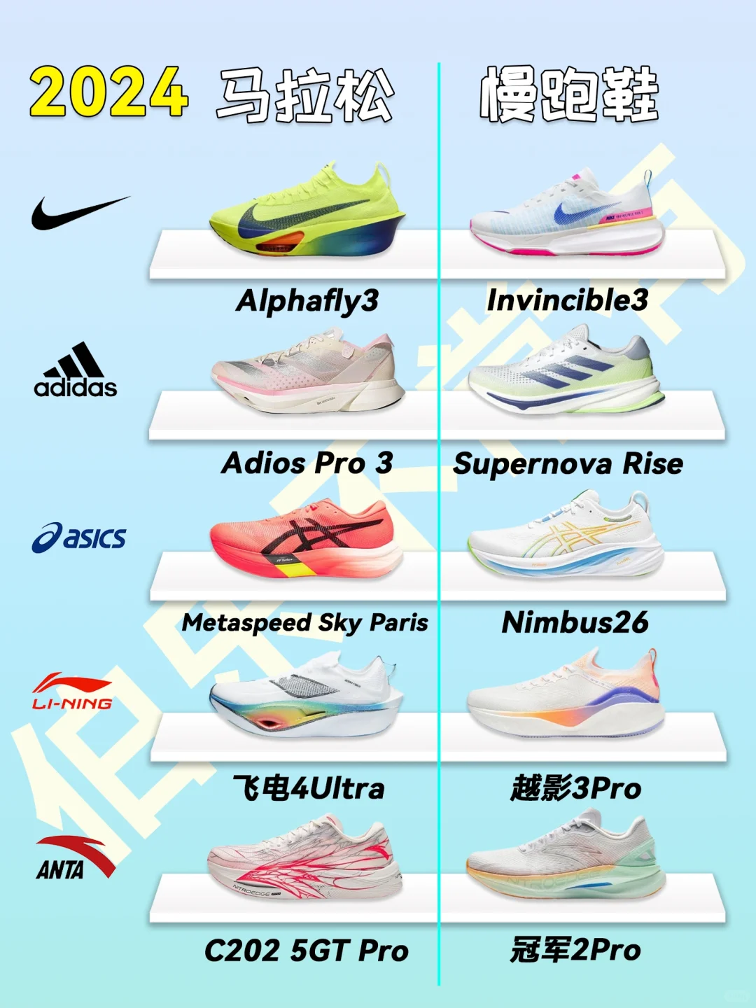 2024各品牌碳板跑鞋、缓震慢跑鞋大赏❗️