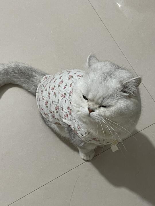 啧～