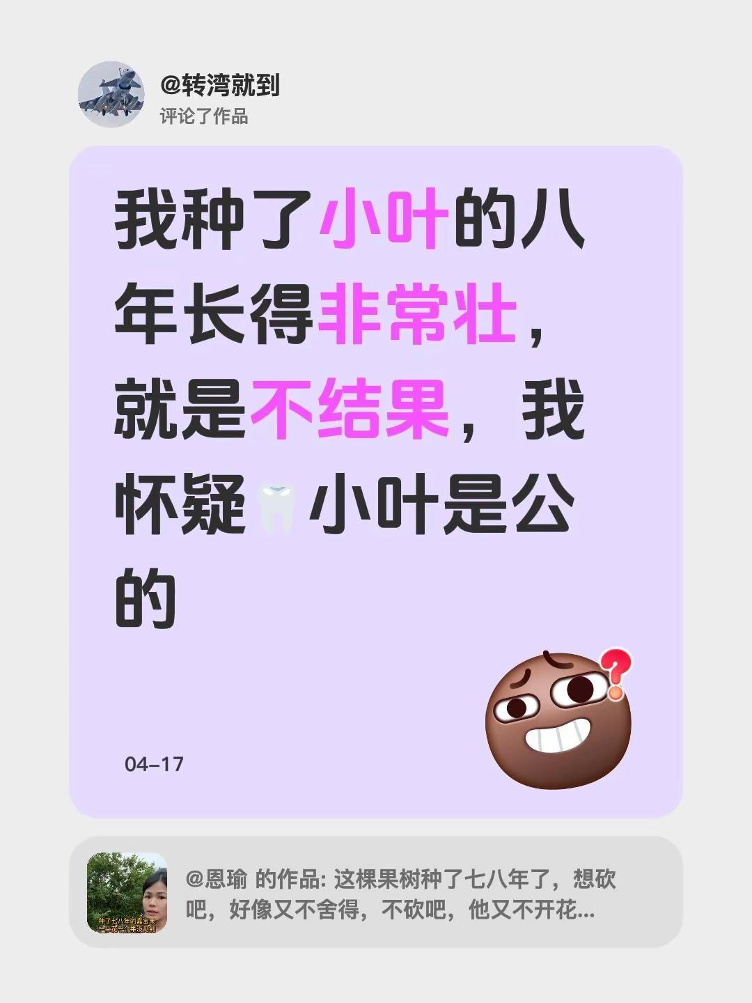 我评论了@恩瑜 的作品：我种了小叶的八年长得非常壮，就是不结果，我怀疑🦷小叶是