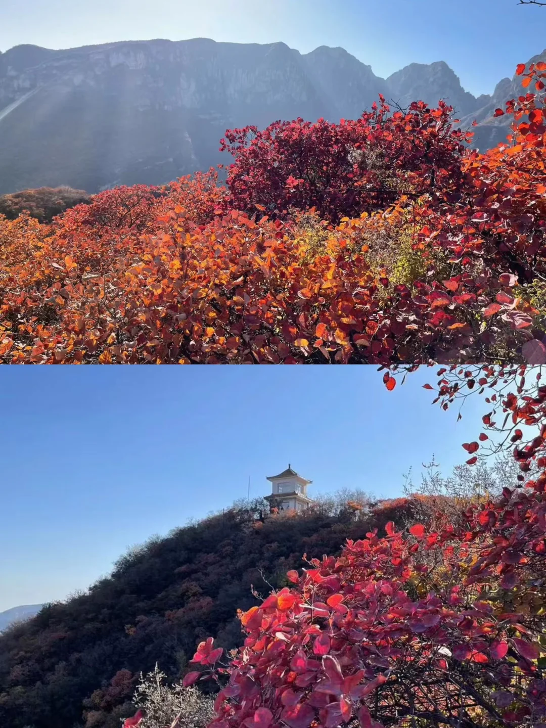 北京赏秋｜小众打卡地｜神秘药王谷赏红叶一日