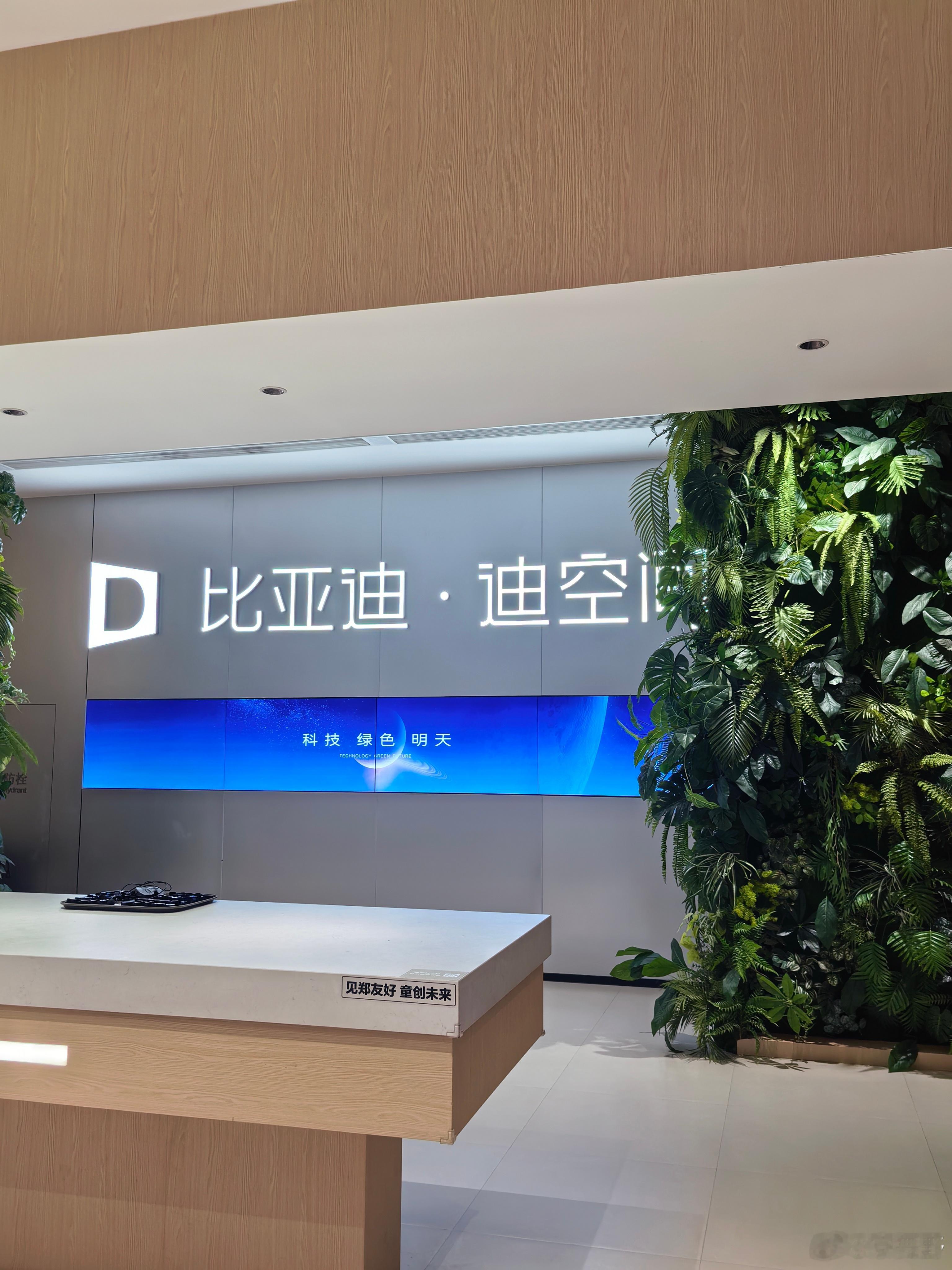 玩都不能安稳，还得把工作谈了 郑州·比亚迪迪空间丨郑州馆