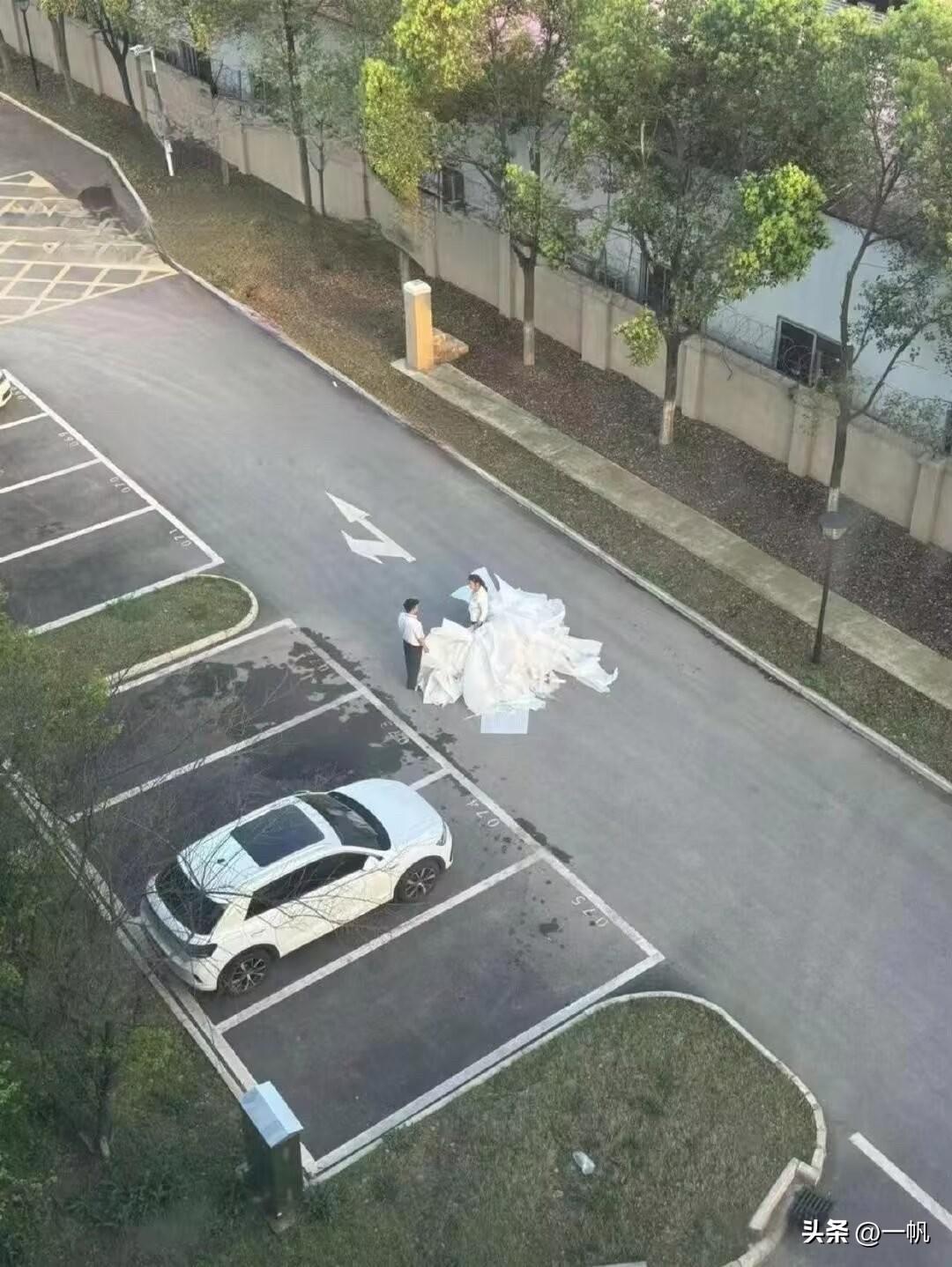 哈哈 远看还以为是一对新人，没成想是一对牛马[我想静静]