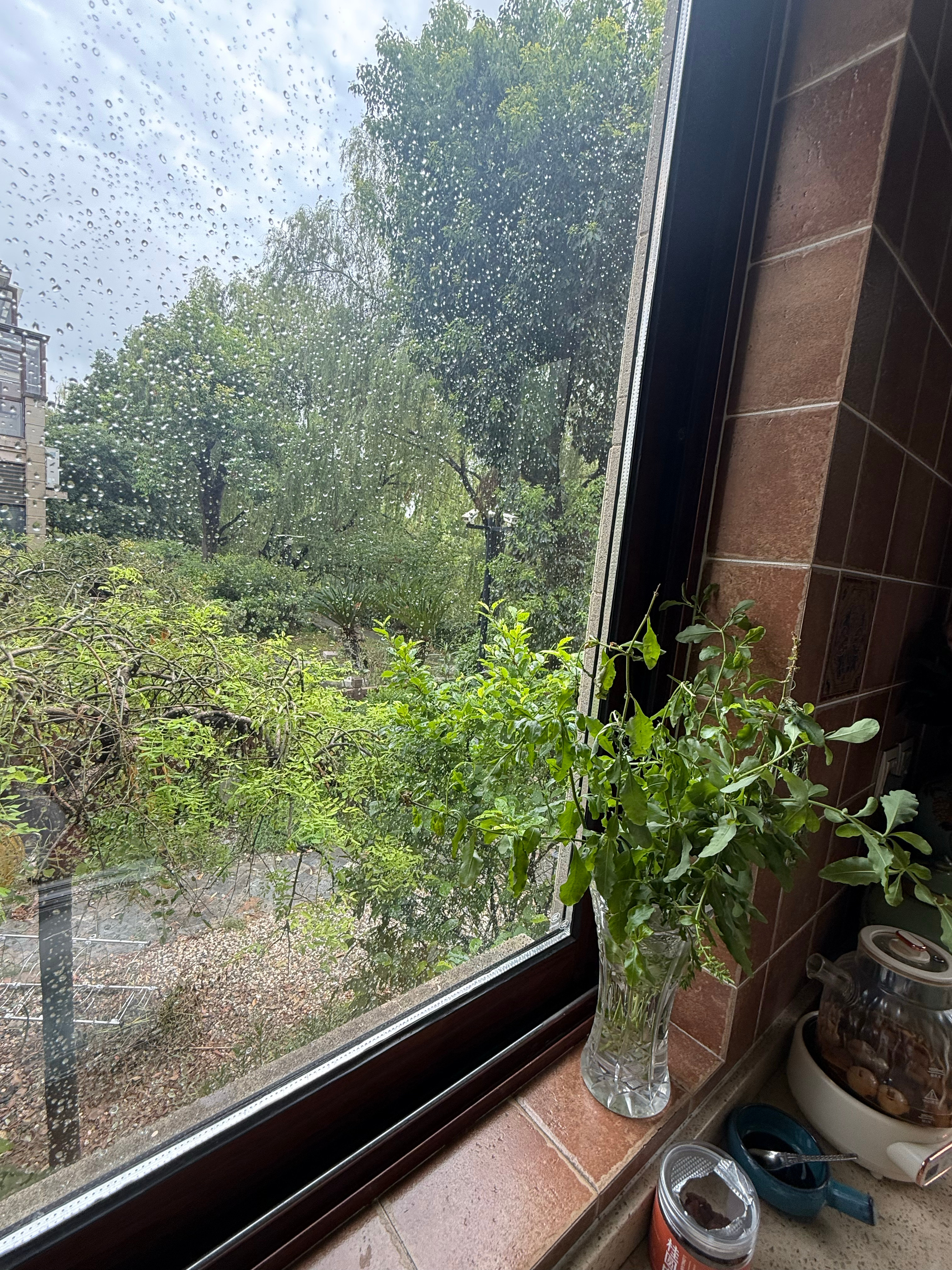 我家像是住在大森林里周围一个人没有 都是动植物早上起来一看 窗户上都是水雾都看不