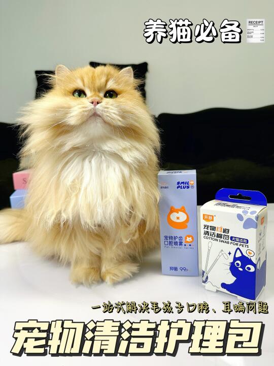 养猫必备🧾｜猫咪清洁轻松搞定💪