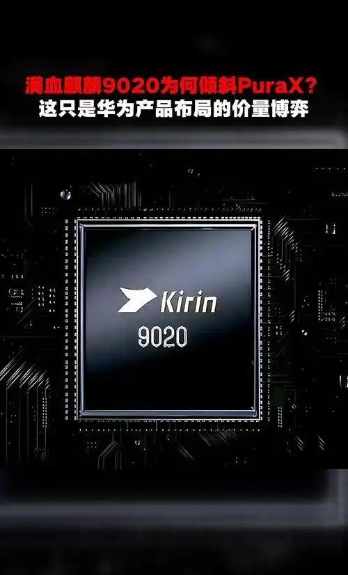 这回哈工大出手，动静可闹得太大了！谁能想到，大家热议的麒麟9020芯片其实只是打