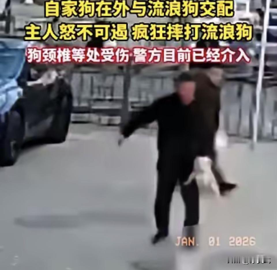 “可恶至极！”青海有一男子出门遛狗，谁料，狗子趁他没留意，偷偷和一只流浪狗交配。