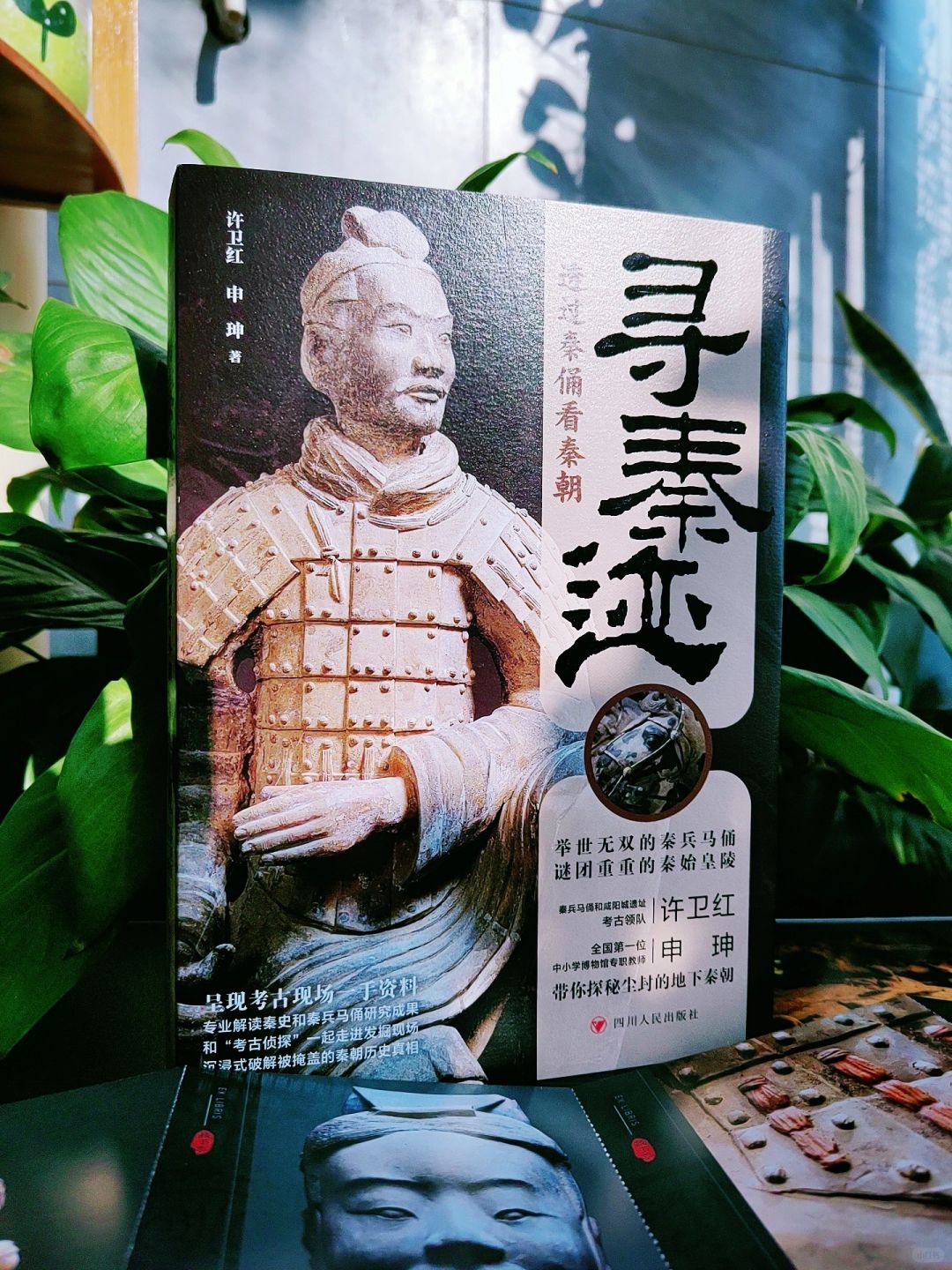 太酷了！考古领队带你沉浸式寻秦迹