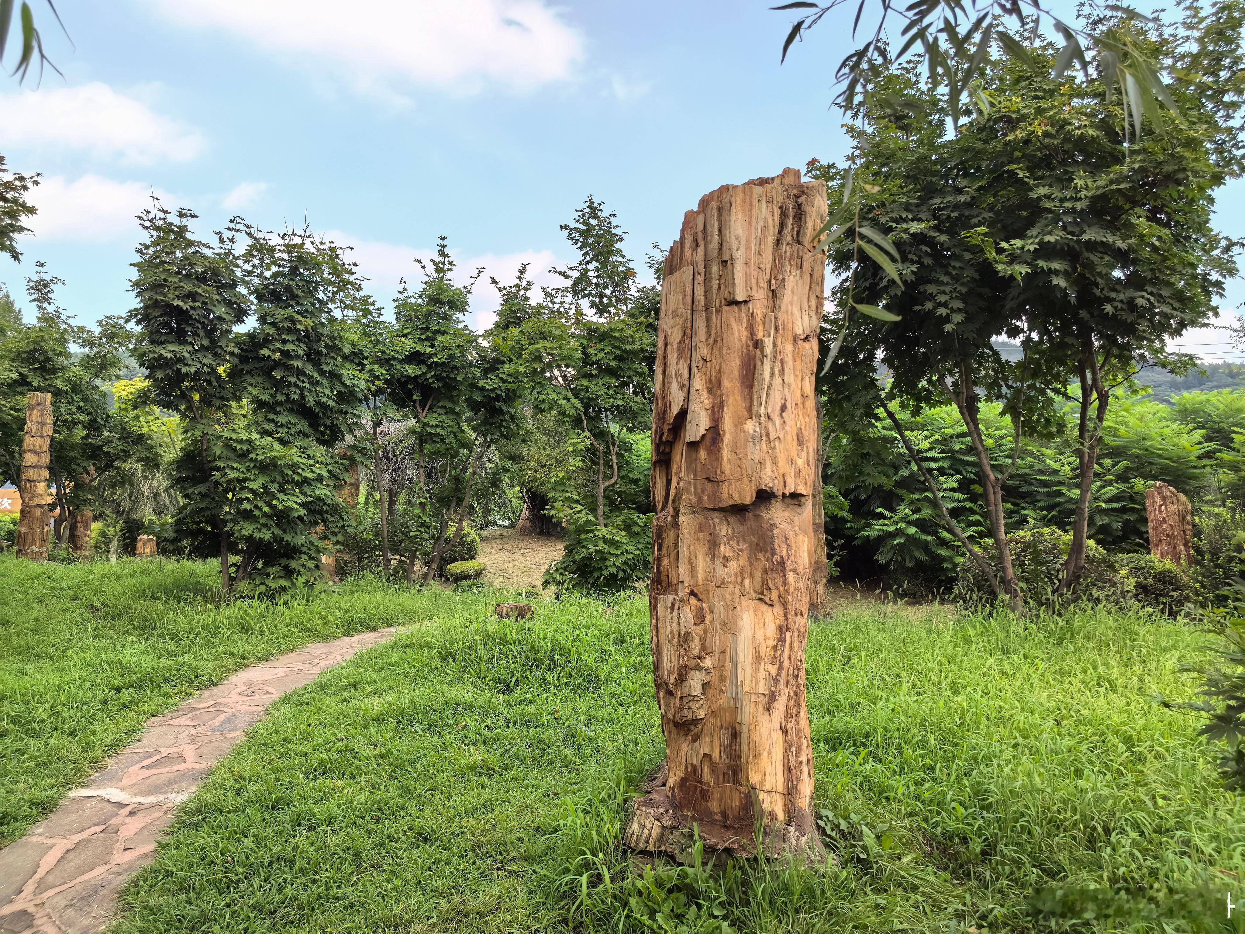 #旅行见闻# 在辽宁本溪，有一处上亿年的地质遗迹——硅化木王国。这里依山傍水，风