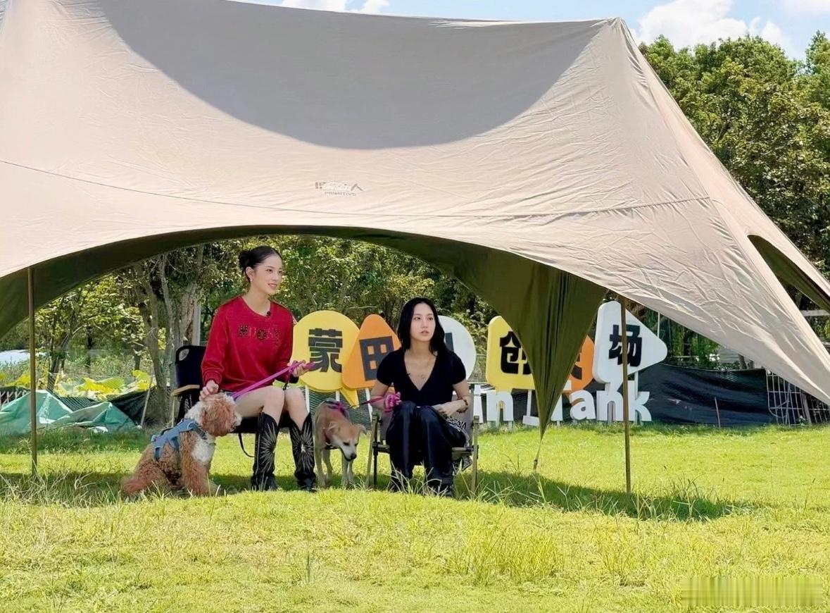 欧阳娜娜米卡带狗狗在上海聚会网友在上海偶遇欧阳娜娜米卡网友在上海偶遇欧阳娜娜与米