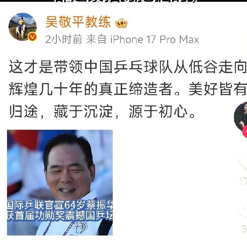 中国乒乓球能一直长盛不衰，真的是离不开蔡振华的领导啊，这真的是个非常不错的领导，