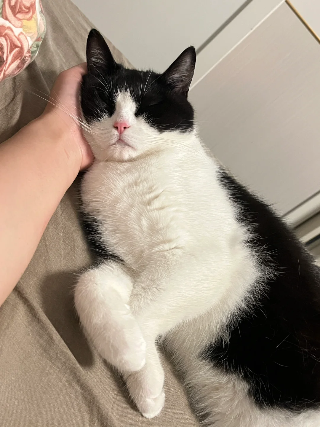 手麻了 但不敢动🥺