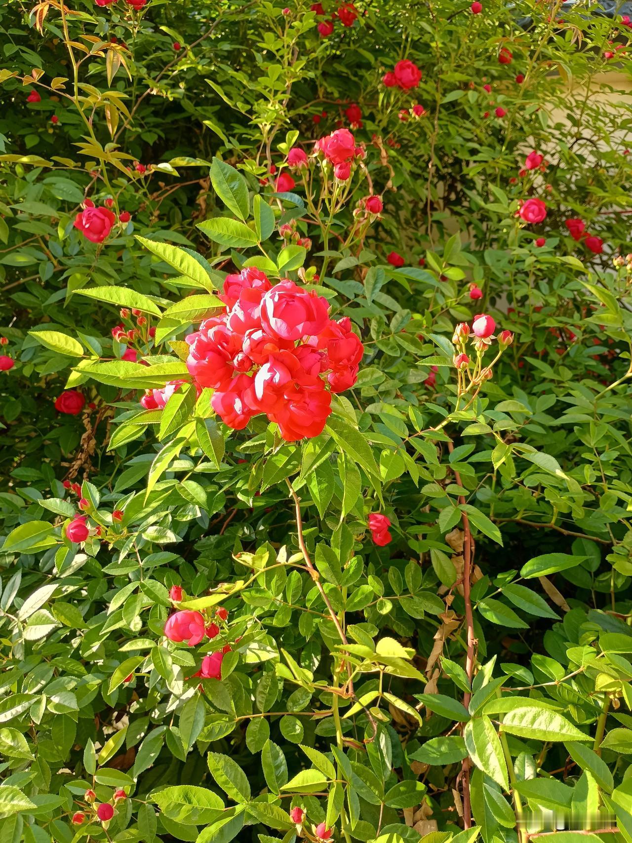 花开花谢花有迹
水涌水退水无痕
——谷雨，季节已然是暮春了，难免令人惆怅岁月长河