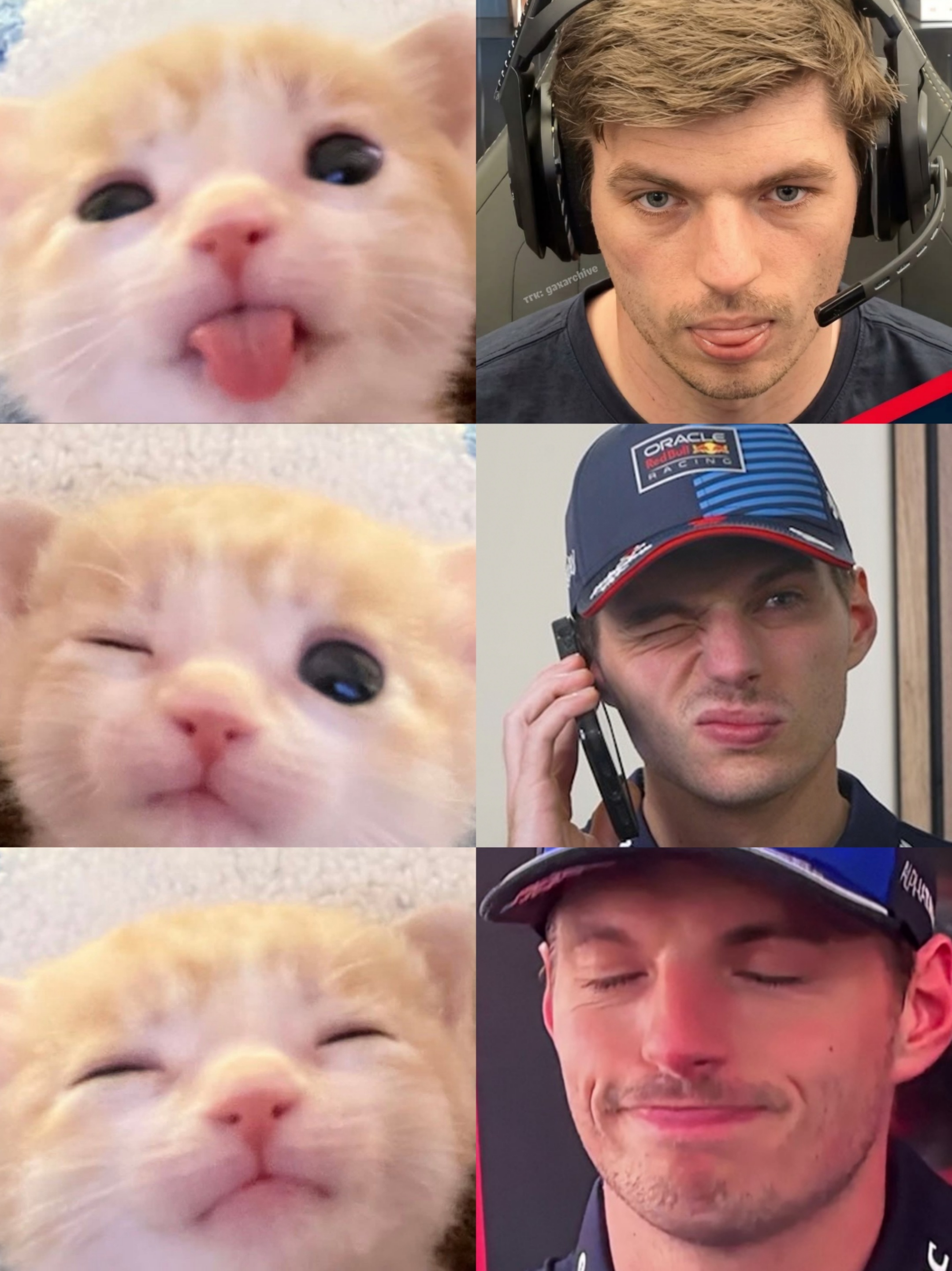 【🦁】萌😻 