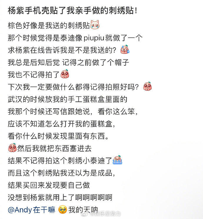 杨紫手机壳上贴了粉丝做的刺绣贴 粉丝的爱意被紫妹稳稳接住，并带到了聚光灯下！一个
