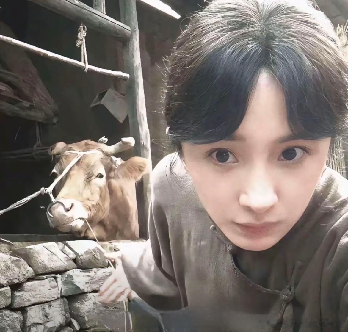 杨幂手捧临沂泥土看到杨幂手捧临沂泥土，瞬间就能感受到《生万物》背后的用心，一铲一