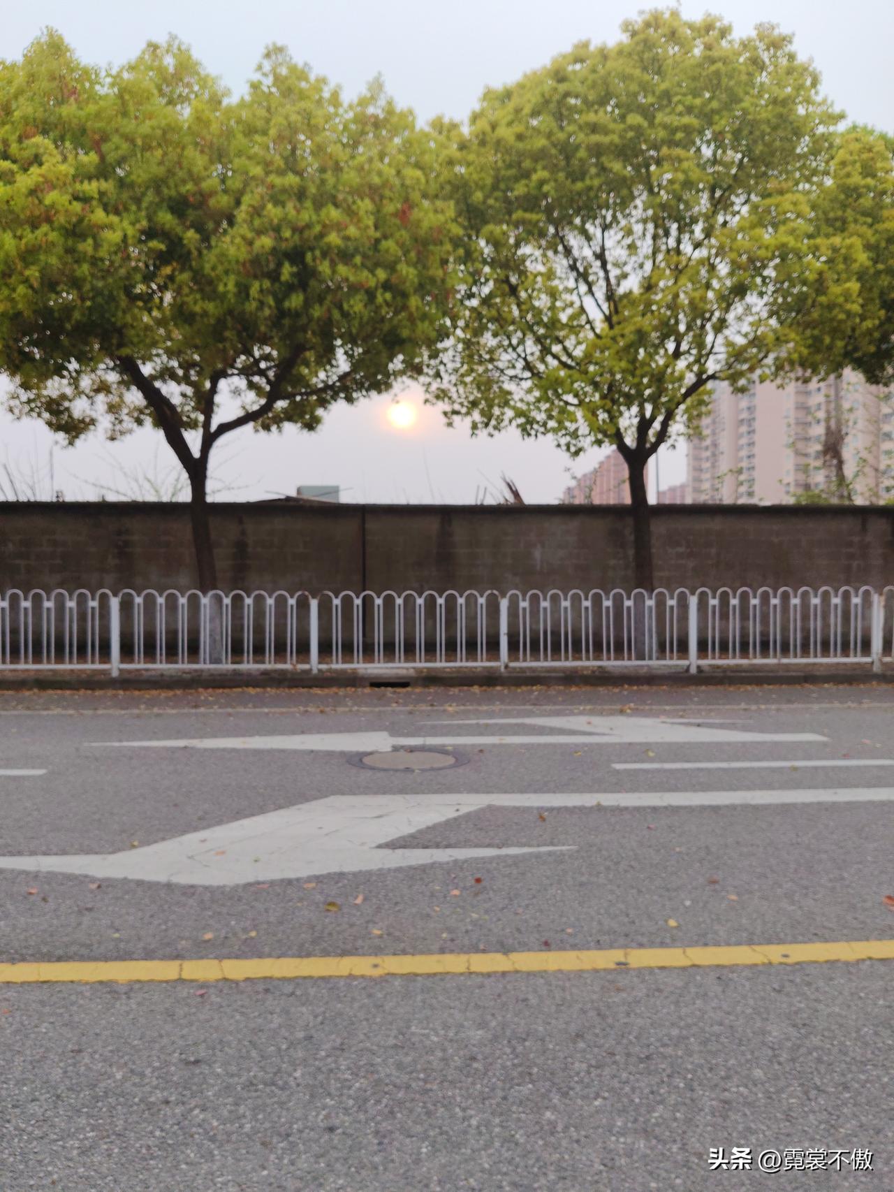 随手拍一张夕阳西下两棵大树中间，嵌着一个西下的夕阳