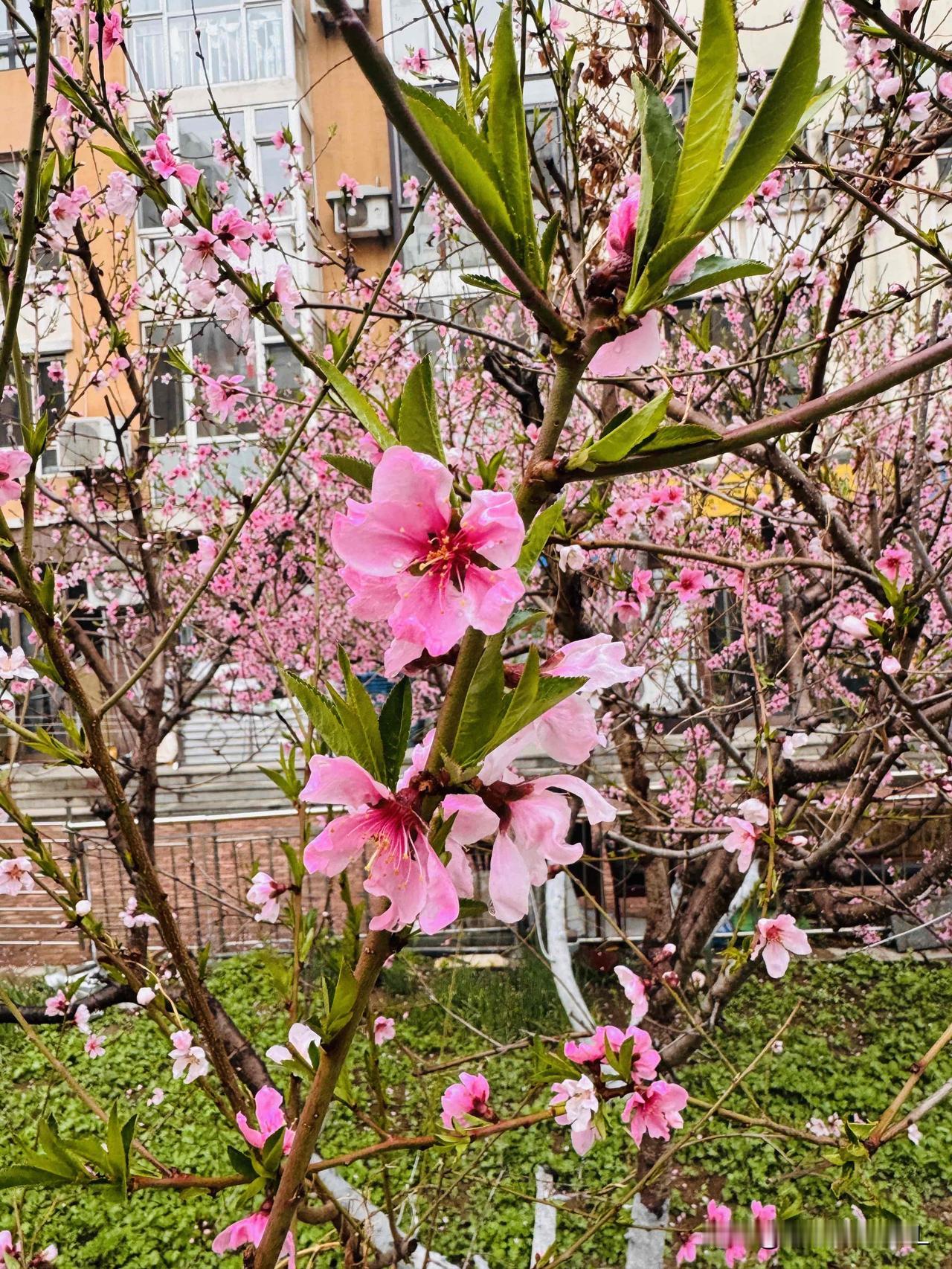 我是个61岁的小老太太，前些时间我的新锐创作者身份被取消了，我就像是泄了气的皮球