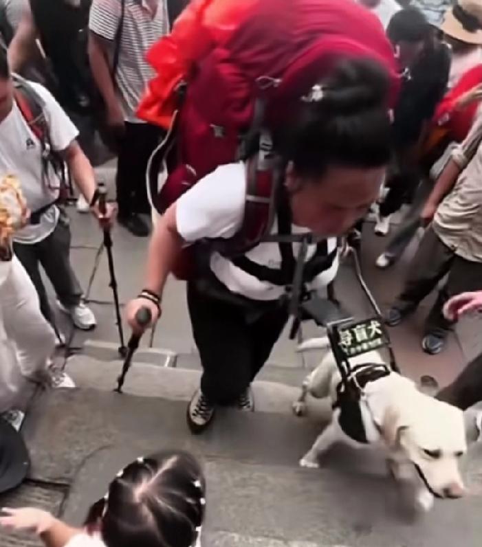 身着几千块钱装备的盲人夫妻爬泰山，对导盲犬又打又骂，基地决定导盲犬芬迪暂停使用，