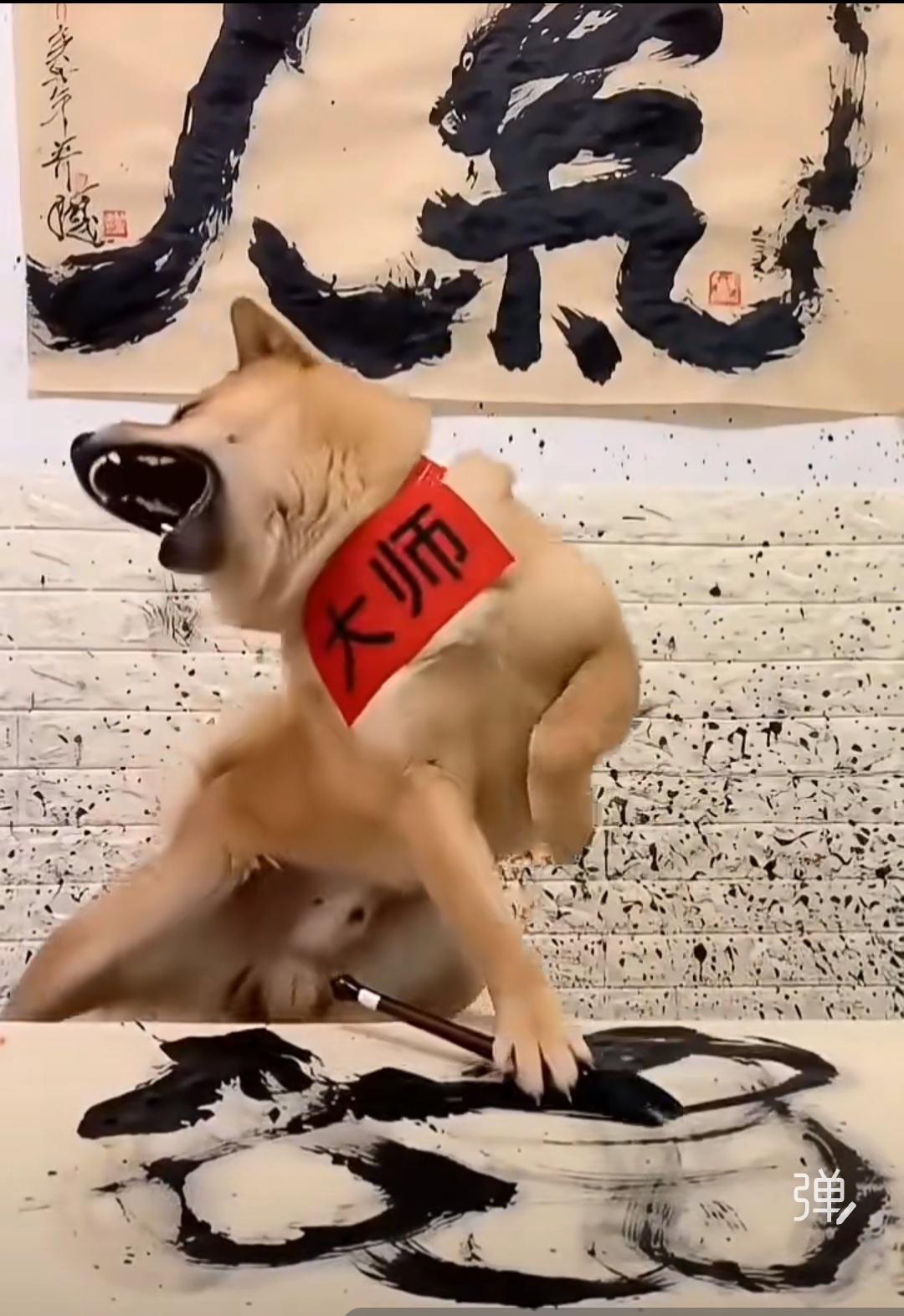 吼书第一🐶