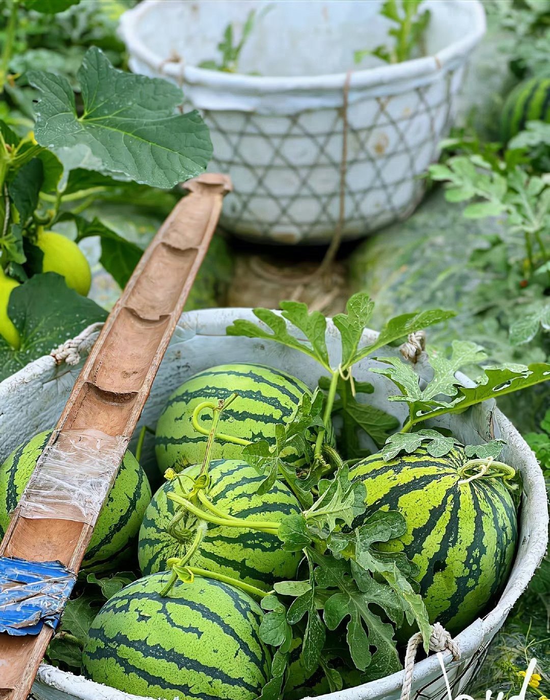 纳指如果特朗普不发癫又开战的话，正常我们抄底的筹码吃25-30点是有的。你扣除前