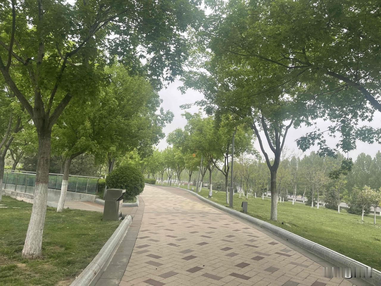 【七绝•春深柳絮驾东风】
春深柳絮驾东风，乱点青云撒满城。
莫道人间春欲晚，还须