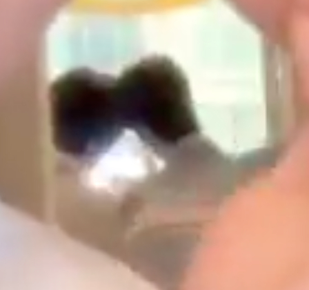 嘿嘿 