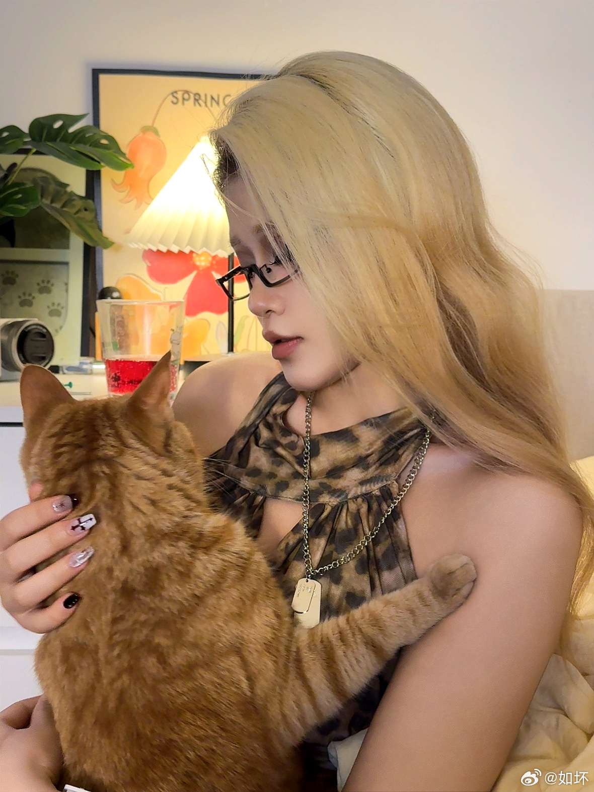 如坏  🐱 