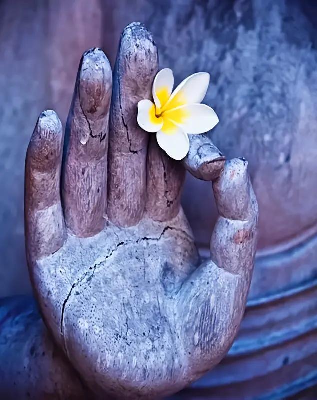 说一个最近最大的感悟：不要随意介入他人的因果。

这个话我最早一次提起，是两个月