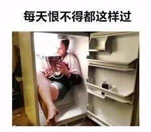 后羿呢 把这个太阳也给我射下来表情包[超话] ​​​