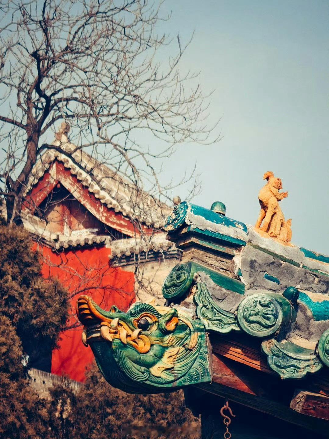 被山西的历史底蕴反复震撼逛晋祠总能被千年古建狠狠惊艳，北宋木雕盘龙藏着意外趣味。