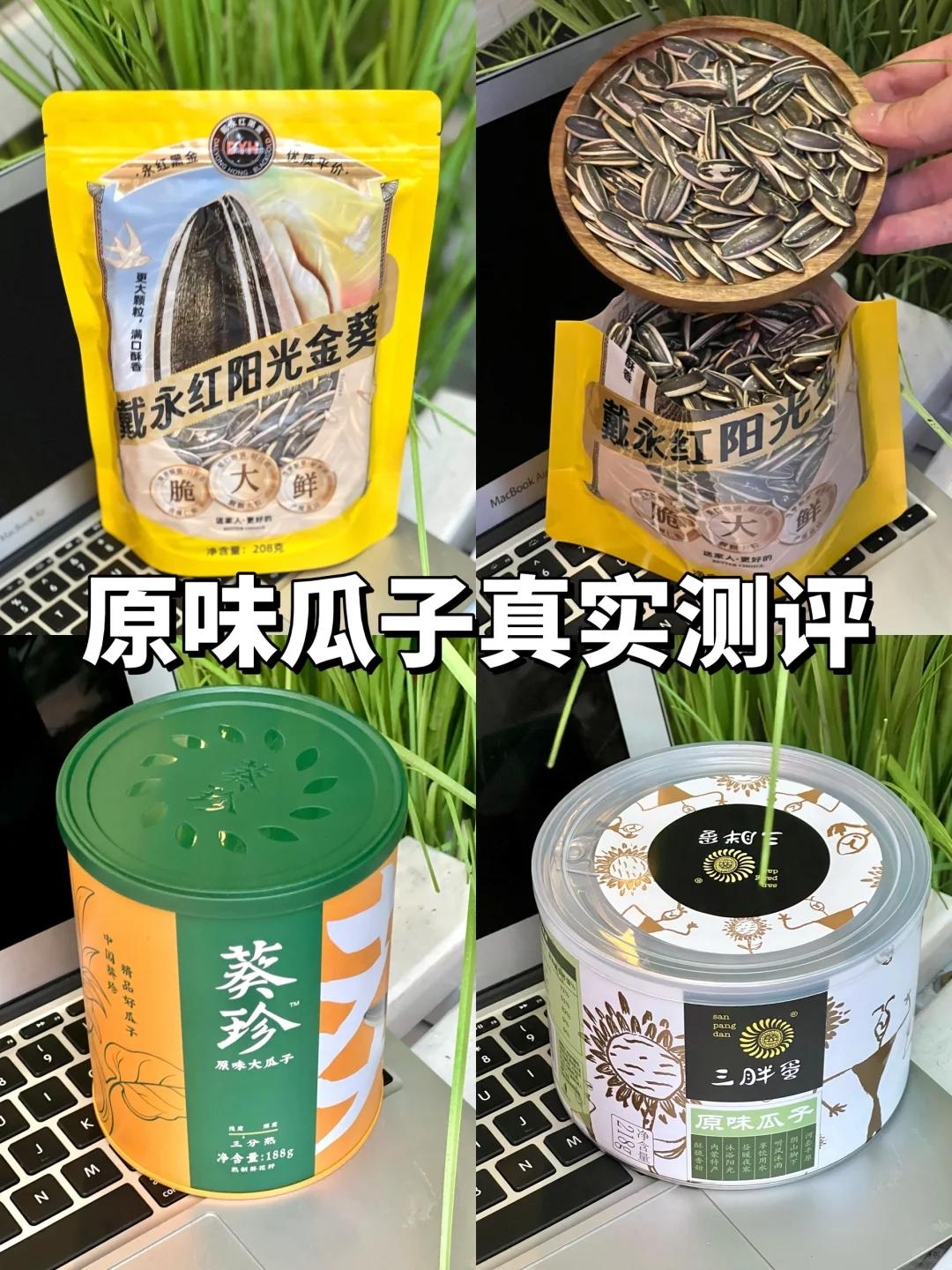 连嗑十包。。。原味瓜子真实测试！！🤩