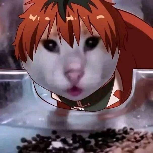 [喵喵] ​​​