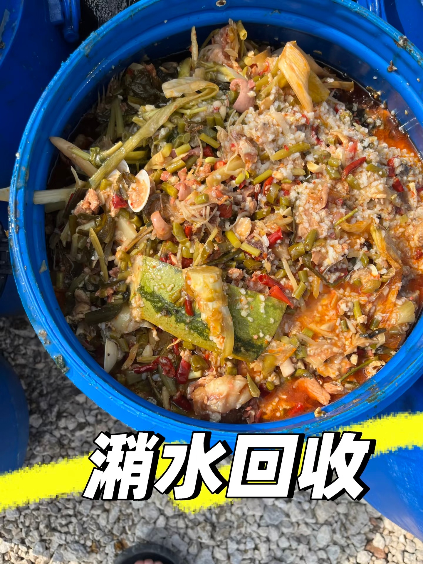 剩菜剩饭直接喂猪违法第一次听见这种说法，以前不都是泔水喂猪嘛，不过，我们家都是剩