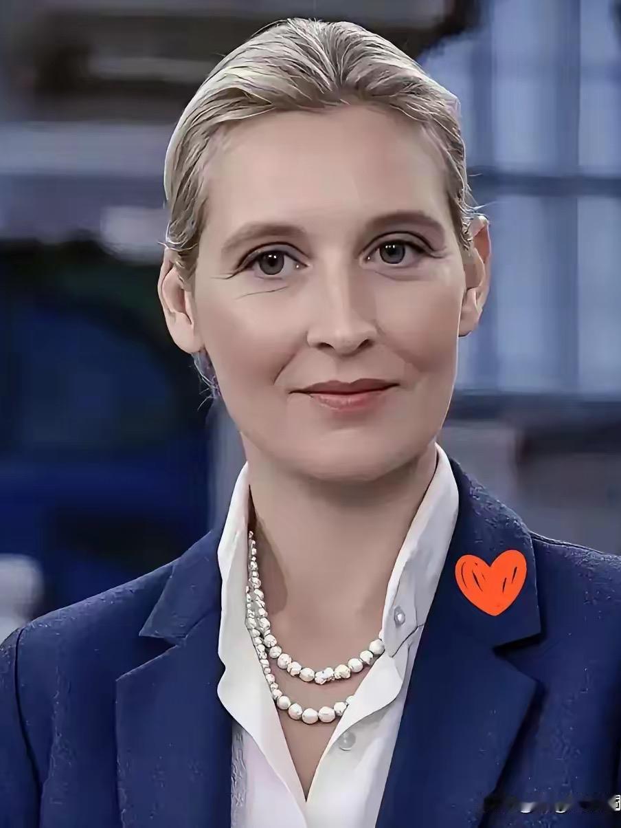 太透彻！魏德尔一句话戳破美国真相：能让它认怂的，只有抗美援朝

     美国换