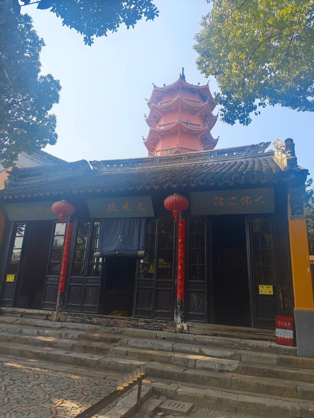 二泉书院和云起楼的银杏已黄的够看，惠山寺门口的古银杏王才微微变色，寄畅园内的也还