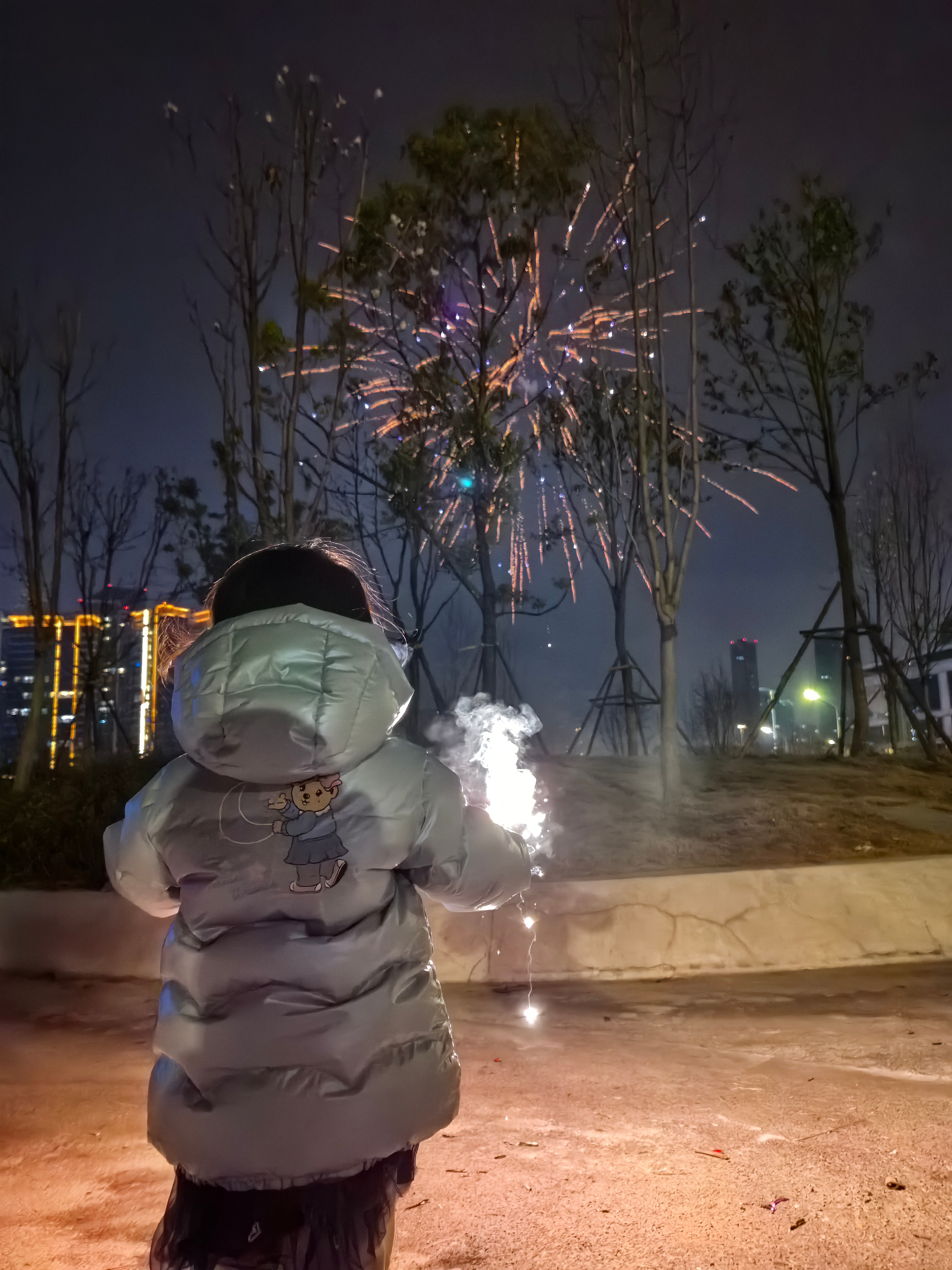 朋友们，春节快乐🎆马到成功！春节 成都