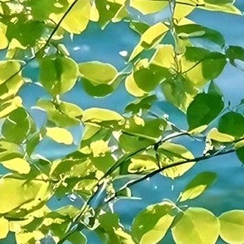 阳光信用‎阳光‎信用 ‎每日一善 慈心为民，善举济世。 无缘大慈，同体大悲。 众