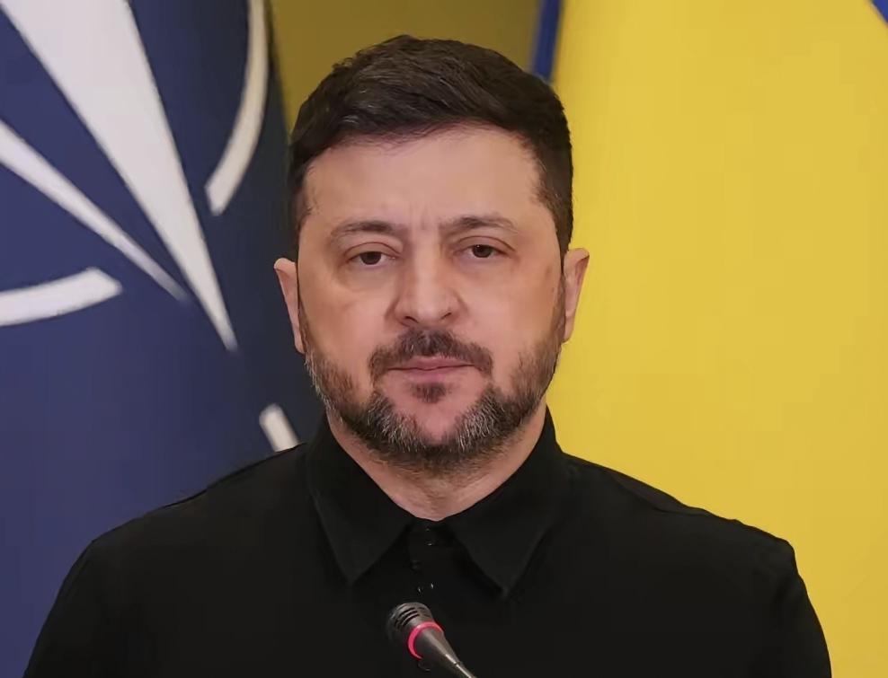 泽连斯基采取的这一行动，让全球网友目瞪口呆：他怎么敢？

对一国元首实施制裁，这