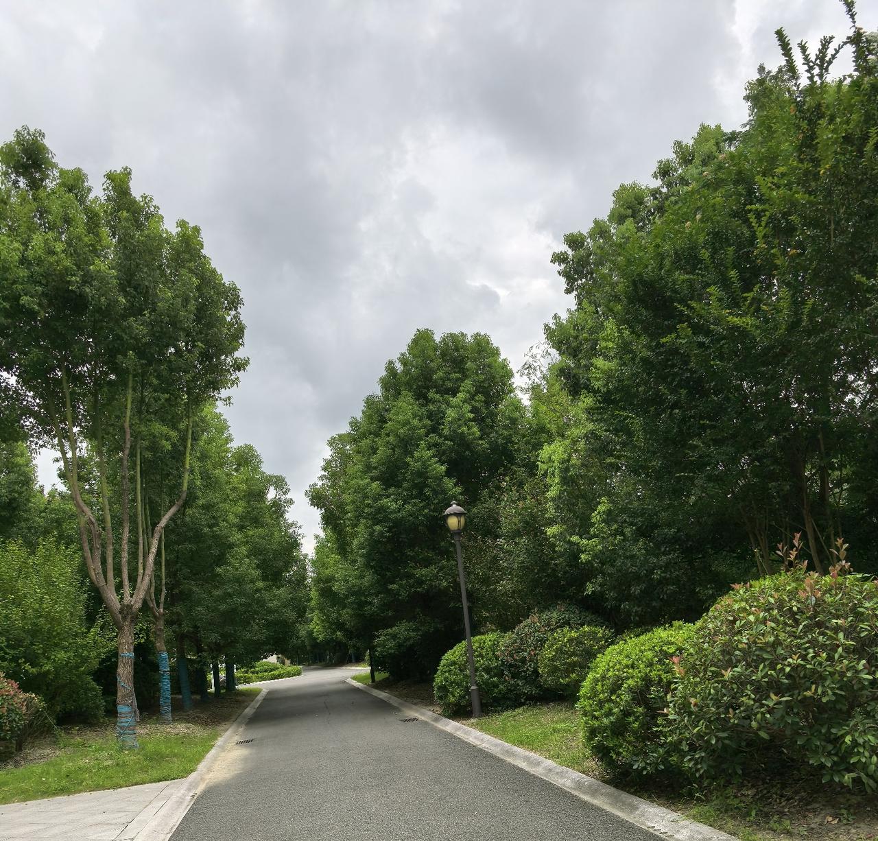 除非加油站加不到汽油，否则首选油车。并不是不信任电车的技术，完全是几十年来的习惯