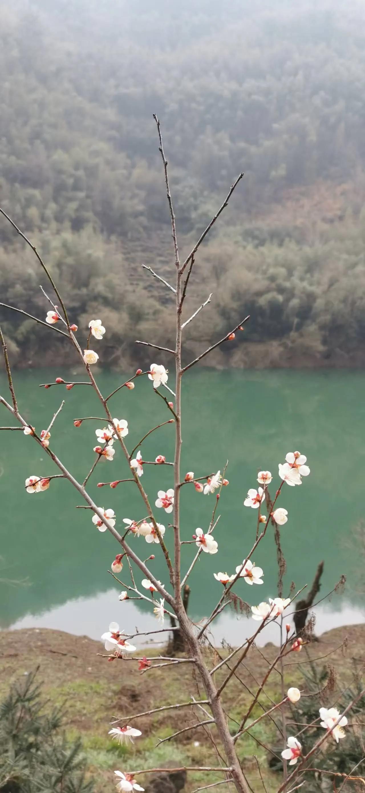 晒图笔记大赛这里是马溪，马云的故乡就在这附近。