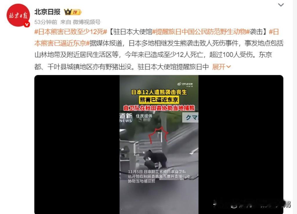 #日本熊害已逼近东京#
有没有一种可能，它们是伪装成熊的俄罗斯人……[狗头][狗