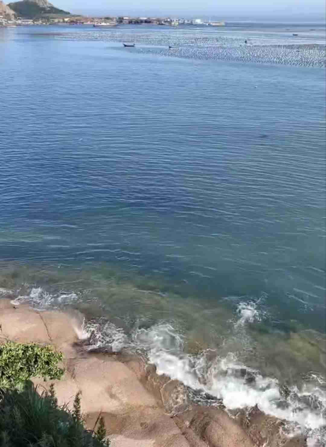 我的今日状态：😁轻松愉快
我这里的天气：⛈️雷雨
你觉得健康对一个家有多重要 